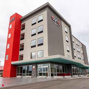 Avid Hotels - Kalamazoo East By Ihg